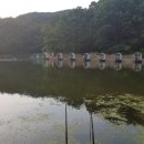 천평낚시터 이미지