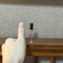 찬스일렉트릭 이미지