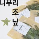 바니홀릭 이미지