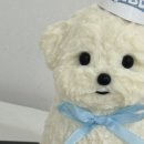 멍멍미식회 이미지