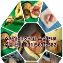 래플즈 동물병원 이미지
