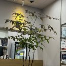 마곡아임약국 이미지