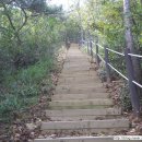 서울당중초등학교 이미지