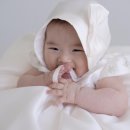 이호그린 이미지