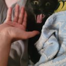 청진동해장국 이미지