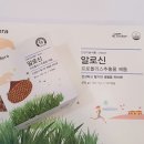 알로 씨