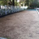 호산초등학교 병설유치원 이미지