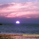 아라펜션 이미지