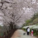 능포주차장 이미지