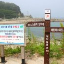 오보해수욕장 옆 이미지