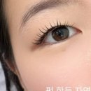 경기도 수원시 장안구 정자천로173번길 이미지