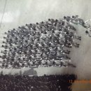 태백기계공업고등학교 이미지