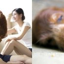 무지개다리 이미지