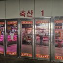 청풍호청정한우도매유통센타 | 태경축산 / 가락시장 한우 소고기 마블링 예술! 양심...가격, 질좋은 가락몰 도매 맛집 적극 추천 ♥