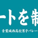 [스압/스포] 대세 애니 하이큐!! 에서 자신의 취향을 골라보자 (다른학교편) 이미지