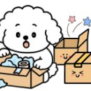 레츠개릿 이미지