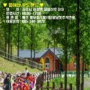 랜드숲 이미지