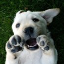 동아대학교국제관 이미지