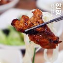 갈비가두근두근플러스