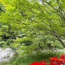 관리도 펜션,길민박 | 강원도 인제 계곡 앞 펜션 평상 대여 갯골산머루민박 예약 숙박 후기