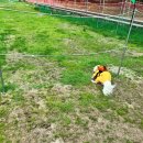 (주) 바이오시스 금왕(제천) 휴게소 | 2024 댕댕트레킹 6K 완주 후기 / 하이원 마운틴콘도 이용