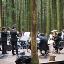 서귀포예술단 이미지