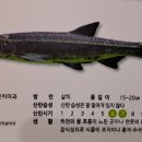 자연생태공원 자연생태박물관 이미지