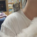 몽글몽글 이미지