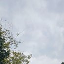 카멜리아한의원 이미지