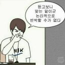 판교바이크 | 새로 바뀐 판교바이크 리뷰 모아보기
