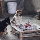 옹기종기 이미지