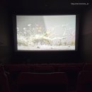 케이티스낵 | 동탄 CGV 영화관 먹거리 스낵, 주차, 2관 시야 후기(영화 왕과 사는 남자 간단 리뷰)