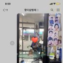 정다미미용실