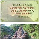 도덕천 이미지