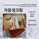 #자음생크림 퍼팩팅 리치 사용 후기 / 피부 탄력-주름 진짜 개선될까?&#34;