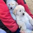 올림푸스원 이미지