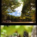 휴림펜션B 이미지