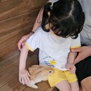 농장 | 시흥 아이와 가볼만한 곳 동물 먹이주기 무제한 "온동물체험농장" 후기