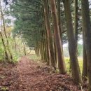 능성목장 이미지