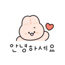 단디스크린골프 이미지