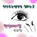 바비컬속눈썹 이미지