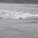 울돌목일도 이미지