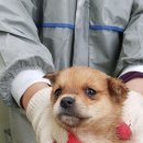 발안로 이미지