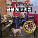 [대구 서구/비산동] 애견동반식당 야장 뒷고기 맛집 💥 금복뒷고기 비산본점 후기