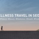 알렉산더테크닉자세;움직임교육센터
