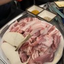 재송92돼지