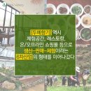 지랜드