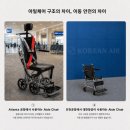 [김종배 교수의 미국일지] 전동휠체어에 날개를 달고 이미지