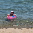 낙산해변야영장 | 낙산해수욕장 해수욕 파라솔 대여 가격, 수영금지구역 화장실 위치