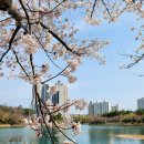 영랑호수공원 이미지